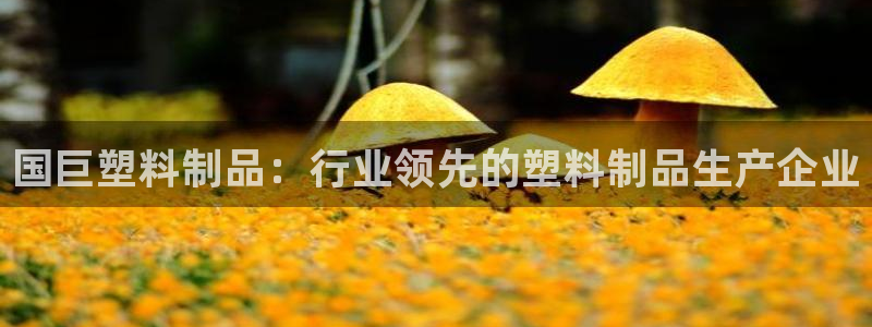 太阳集团怎么样