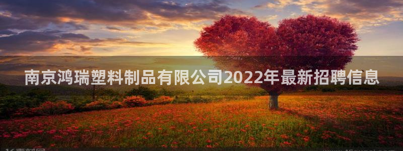 太阳集团公司董事长