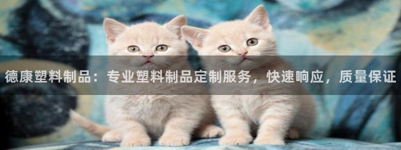 太阳成集团电子游戏