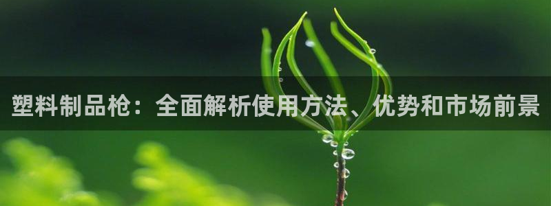 太阳 官网