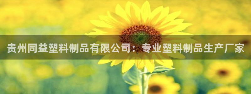 电子游戏太阳神官方网站