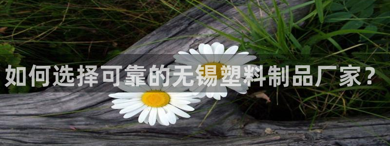 太阳app网页版