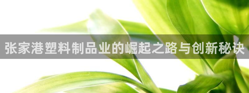 太阳阳城集团有限公司
