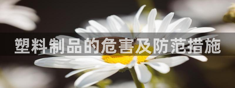太阳诚集团网站