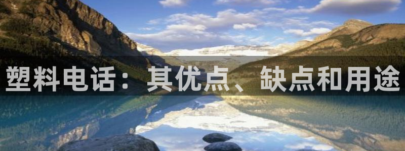 太阳集团的法人代表