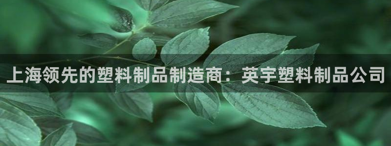 太阳集团股份有限公司招聘