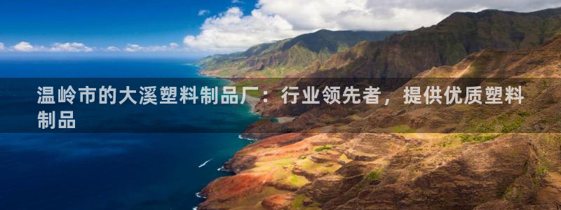 太阳集团的老总是谁