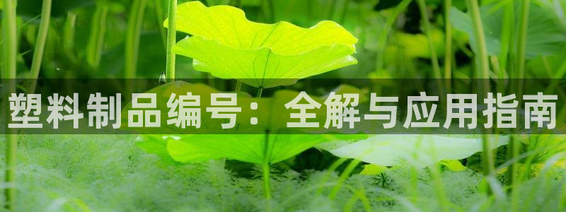 太阳集团游戏官方网址8827