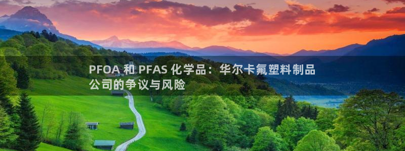 太阳阳城集团有限公司：PFOA 和 PFAS 化学品：华尔卡