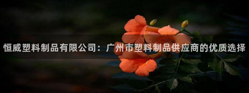 太阳成集团61999：恒威塑料制品有限公司：广州市塑料制品供