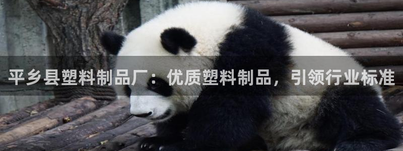 高淳红太阳集团：平乡县塑料制品厂：优质塑料制品，引领行业标准