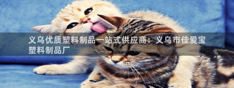 太阳集团游戏城(138)官方网址：义乌优质塑料制品一站式供应