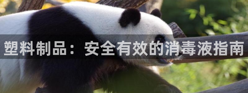 太阳集团不能提现怎么办：塑料制品：安全有效的消毒液指南