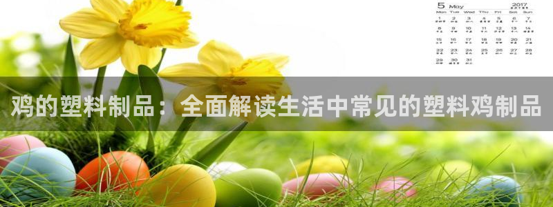 澳门太阳游戏城：鸡的塑料制品：全面解读生活中常见的塑料鸡制品