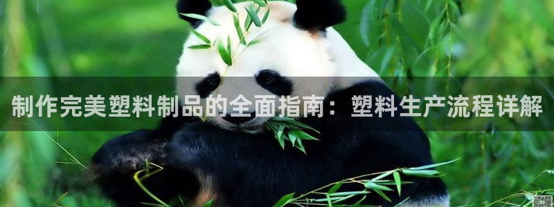 太阳集团城：制作完美塑料制品的全面指南：塑料生产流程详解
