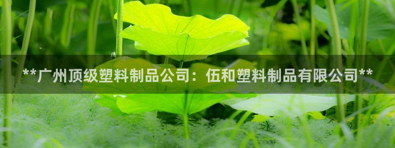 太阳集团电子游戏(中国)有限公司官网：**广州顶级塑料制品公