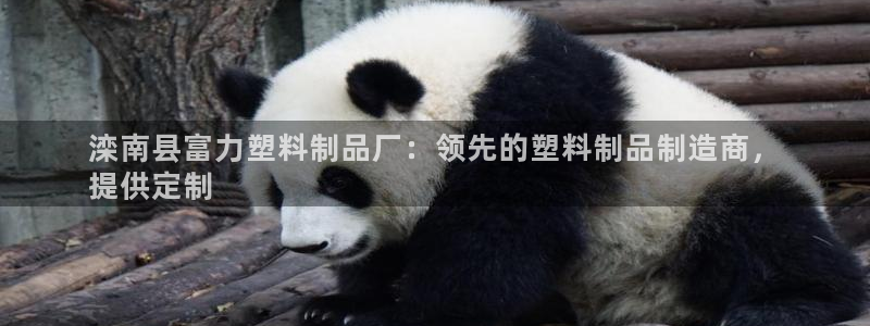 太阳成集团的官方网站：滦南县富力塑料制品厂：领先的塑料制品制