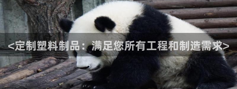 太阳成集团游戏：<定制塑料制品：满足您所有工程和制造需求>