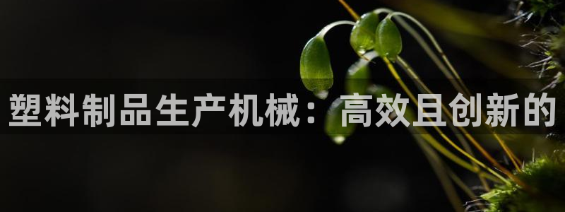 太阳集团备用网址：塑料制品生产机械：高效且创新的
