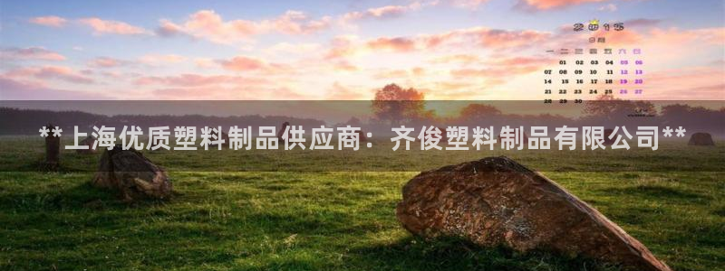 太阳成集团tyc33455cc平台：**上海优质塑料制品供应