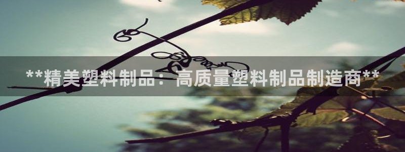 太阳成集团网站6888：**精美塑料制品：高质量塑料制品制造