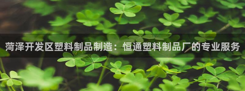 太阳成集团是什么：菏泽开发区塑料制品制造：恒通塑料制品厂的专