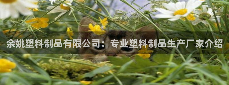 古天乐太阳集团城app