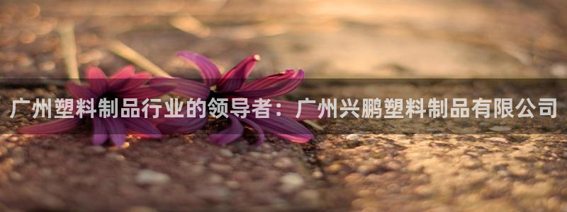 太阳诚集团有限公司地址：广州塑料制品行业的领导者：广州兴鹏塑