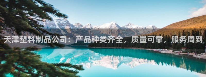 太阳集团股份有限公司：天津塑料制品公司：产品种类齐全，质量可