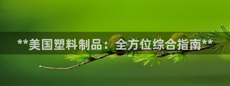 江苏太阳集团冷青松：**美国塑料制品：全方位综合指南**