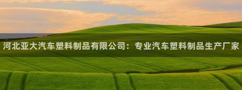 太阳成集团tyc234cc古天乐下载：河北亚大汽车塑料制品有