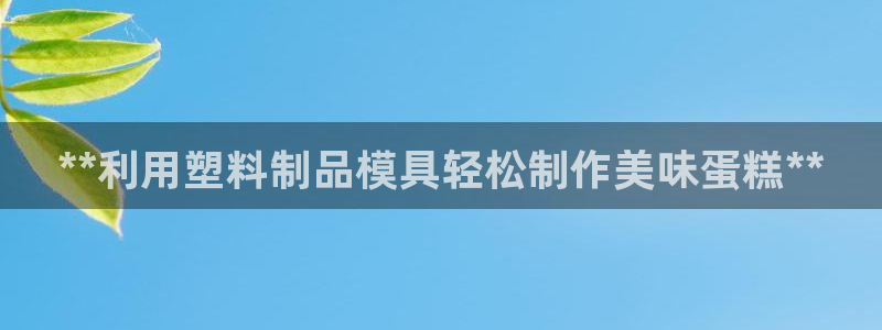 太阳董事长：**利用塑料制品模具轻松制作美味蛋糕**