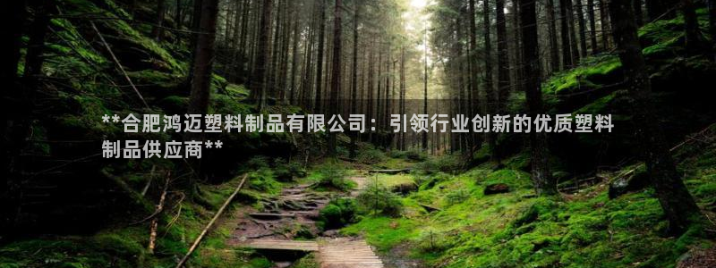 太阳集团游戏软件：**合肥鸿迈塑料制品有限公司：引领行业创新
