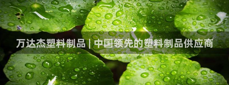 太阳集团游戏城1382：万达杰塑料制品 | 中国领先的塑料制