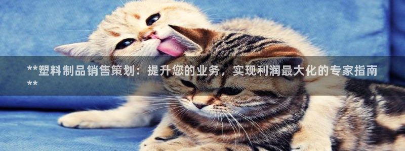 古天乐代言太阳网址ty：**塑料制品销售策划：提升您的业务，