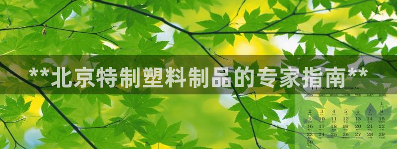 太阳集团城网2018：**北京特制塑料制品的专家指南**