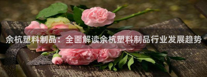 太阳集团电子游戏APP登录入口：余杭塑料制品：全面解读余杭塑